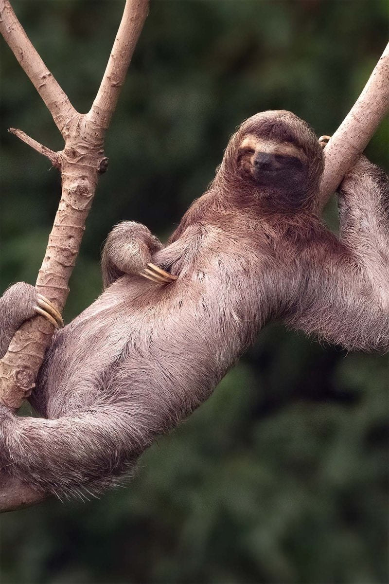 Manuel Antonio National Park Tour - Lenny Montenegro